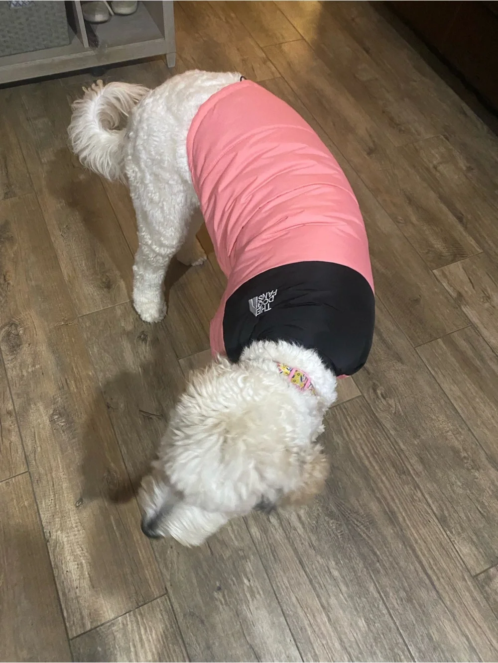 Pink and Black Dog Jacket with Drawcord Hem